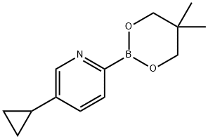 5-Cyclopropylpyridine-2-boronic acid neopentylglycol ester Structure