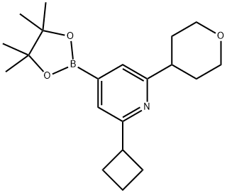 2-cyclobutyl-6-(tetrahydro-2H-pyran-4-yl)-4-(4,4,5,5-tetramethyl-1,3,2-dioxaborolan-2-yl)pyridine Structure