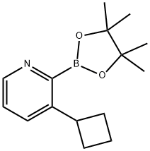 3-(Cyclobutyl)pyridine-2-boronic acid pinacol ester Structure