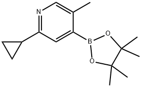5-Methyl-2-(cyclopropyl)pyridine-4-boronic acid pinacol ester Structure
