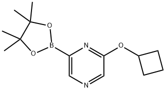 2-cyclobutoxy-6-(4,4,5,5-tetramethyl-1,3,2-dioxaborolan-2-yl)pyrazine,2223030-06-4,结构式