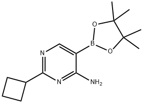 4-Amino-2-(cyclobutyll)pyrimidine-5-boronic acid pinacol ester Structure