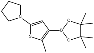 2223031-27-2 2-Methyl-5-(pyrrolidino)thiophene-3-boronic acid pinacol ester