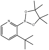 3-(tert-Butyl)pyridine-2-boronic acid pinacol ester 结构式