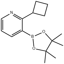 2-(Cyclobutyl)pyridine-3-boronic acid pinacol ester,2223039-18-5,结构式