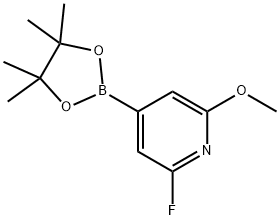 2-fluoro-6-methoxy-4-(4,4,5,5-tetramethyl-1,3,2-dioxaborolan-2-yl)pyridine|2-氟-6-甲氧基吡啶-4-硼酸频哪醇酯