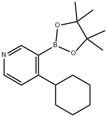 4-(Cyclohexyl)pyridine-3-boronic acid pinacol ester Structure