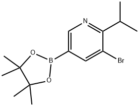 3-bromo-2-isopropyl-5-(4,4,5,5-tetramethyl-1,3,2-dioxaborolan-2-yl)pyridine Structure
