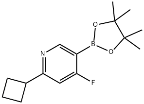 2-cyclobutyl-4-fluoro-5-(4,4,5,5-tetramethyl-1,3,2-dioxaborolan-2-yl)pyridine 化学構造式