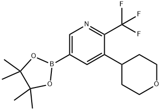 3-(tetrahydro-2H-pyran-4-yl)-5-(4,4,5,5-tetramethyl-1,3,2-dioxaborolan-2-yl)-2-(trifluoromethyl)pyridine|