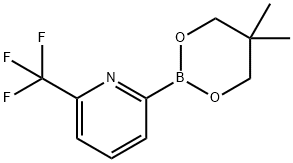 6-Trifluoromethylpyridine-2-boronic acid neopentylglycol ester Structure