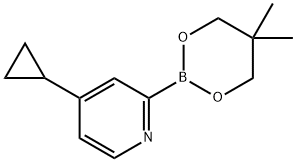 4-Cyclopropylpyridine-2-boronic acid neopentylglycol ester Structure