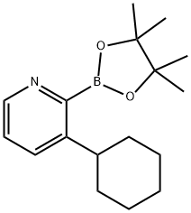 3-(Cyclohexyl)pyridine-2-boronic acid pinacol ester 化学構造式