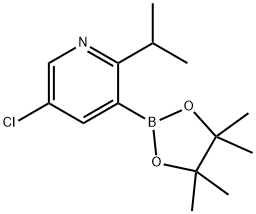 2-(iso-Propyl)-5-chloropyridine-3-boronic acid pinacol ester,2223047-49-0,结构式