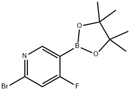 2-bromo-4-fluoro-5-(4,4,5,5-tetramethyl-1,3,2-dioxaborolan-2-yl)pyridine,2223052-10-4,结构式