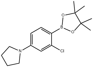 2-Chloro-4-(pyrrolidino)phenylboronic acid pinacol ester Structure