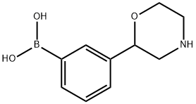 3-(Morpholin-2-yl)phenylboronic acid 结构式