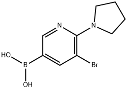 5-Bromo-6-(pyrrolidino)pyridine-3-boronic acid 化学構造式