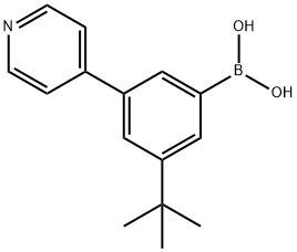 3-(tert-Butyl)-5-(pyridin-4-yl)phenylboronic acid 化学構造式