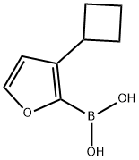 3-(Cyclobutyl)furan-2-boronic acid Structure