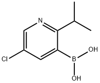 5-Chloro-2-(iso-propyl)pyridine-3-boronic acid 化学構造式