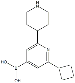 2-Cyclobutyl-6-(piperidin-4-yl)pyridine-4-boronic acid,2225172-05-2,结构式