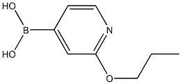 2-(n-Propoxy)pyridine-4-boronic acid Struktur