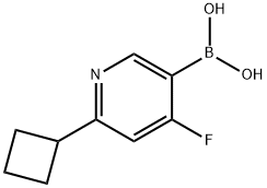 4-Fluoro-2-(cyclobutyl)pyridine-5-boronic acid,2225176-78-1,结构式