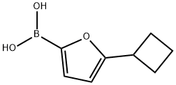 5-(Cyclobutyl)furan-2-boronic acid,2225177-10-4,结构式