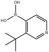 3-(tert-Butyl)pyridine-4-boronic acid Structure