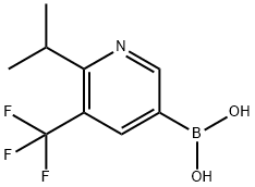6-(iso-Propyl)-5-trifluoromethylpyridine-3-boronic acid Struktur