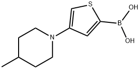 4-(4-Methylpiperidin-1-yl)thiophene-2-boronic acid Struktur