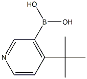 4-(tert-Butyl)pyridine-3-boronic acid Structure