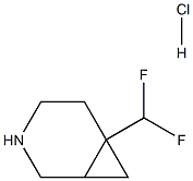 6-(二氟甲基)-3-氮杂双环[4.1.0]庚烷盐酸盐,2231675-25-3,结构式