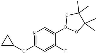 2-cyclopropoxy-4-fluoro-5-(4,4,5,5-tetramethyl-1,3,2-dioxaborolan-2-yl)pyridine|