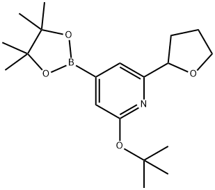 2-(tert-butoxy)-6-(tetrahydrofuran-2-yl)-4-(4,4,5,5-tetramethyl-1,3,2-dioxaborolan-2-yl)pyridine Structure