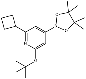 2-(tert-butoxy)-6-cyclobutyl-4-(4,4,5,5-tetramethyl-1,3,2-dioxaborolan-2-yl)pyridine 化学構造式