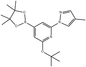 2-(tert-butoxy)-6-(4-methyl-1H-pyrazol-1-yl)-4-(4,4,5,5-tetramethyl-1,3,2-dioxaborolan-2-yl)pyridine 结构式