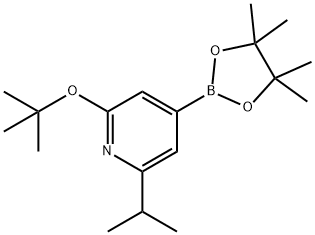 2-(tert-butoxy)-6-isopropyl-4-(4,4,5,5-tetramethyl-1,3,2-dioxaborolan-2-yl)pyridine Struktur