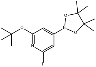 2-(tert-butoxy)-6-fluoro-4-(4,4,5,5-tetramethyl-1,3,2-dioxaborolan-2-yl)pyridine|