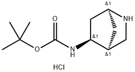 1S,4S,5S-(2-Aza-bicyclo[2.2.1]hept-5-yl)-carbamic acid tert-butyl ester hydrochloride,2305078-77-5,结构式