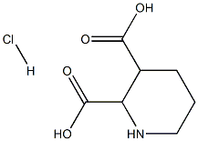 Piperidine-2,3-dicarboxylic acid hydrochloride Structure