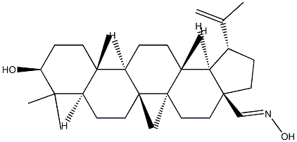 Betulinic aldehyde oxime, 97%, Semi-Synthetic 化学構造式