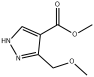 318496-66-1 3-甲氧基甲基-1H-吡唑-4-羧酸甲酯