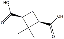 cis-2,2-dimethyl-1,3-cyclobutanedicarboxylic acid Structure