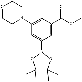 methyl 3-morpholino-5-(4,4,5,5-tetramethyl-1,3,2-dioxaborolan-2-yl)benzoate Struktur