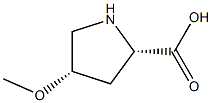 (2S,4S)-4-methoxypyrrolidine-2-carboxylic acid Struktur