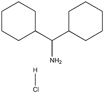 dicyclohexylmethanamine hydrochloride 化学構造式