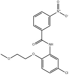 N-[5-chloro-2-(2-methoxyethoxy)phenyl]-3-nitrobenzamide Structure