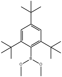 二甲氧基(2,4,6-三叔丁基苯基)甲硼烷, 96110-06-4, 结构式